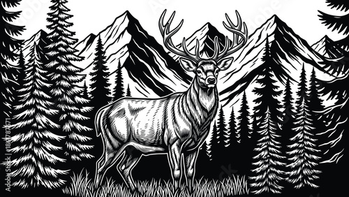 Majestic deer stag in mountain forest, wildlife landscape illustration, black and white vector art with pine trees and alpine peaks