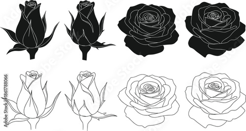 Rose flowers silhouettes and outline set, black and white botanical rose buds and blooms, elegant vector illustration collection for floral design