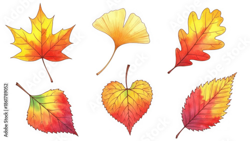 Vibrant autumn leaves collection