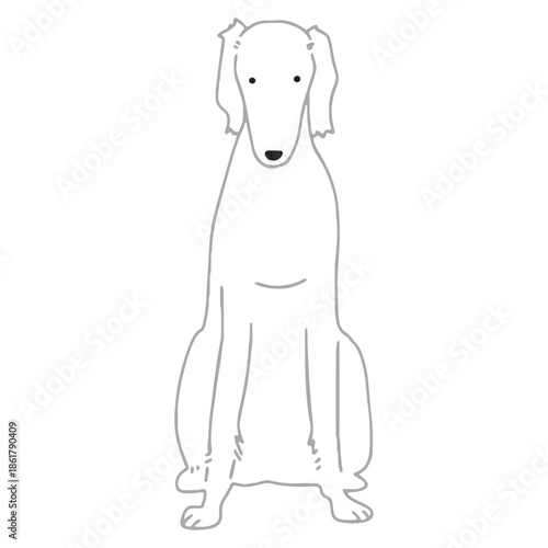 犬　手書きイラスト　ボルゾイ