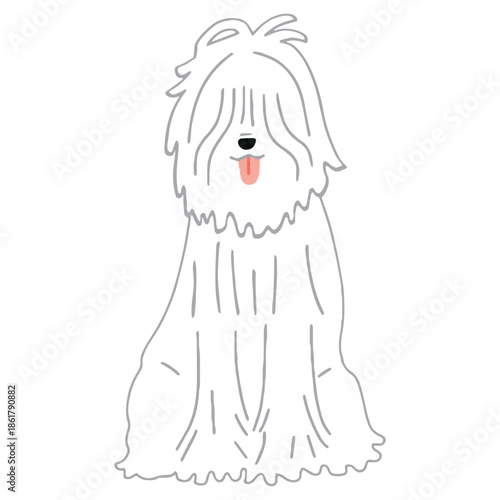 犬　手書きイラスト　コモンドール