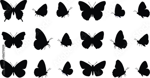 Black butterfly silhouette collection featuring multiple flying poses, elegant insect shapes for nature, tattoo, decoration, and vector design use
