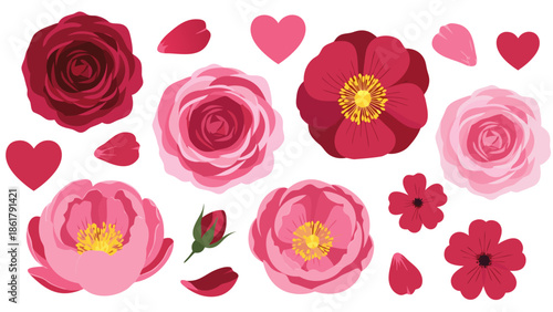 Beautiful Set of Romantic Pink and Red Roses and Peony Vector Illustration with Hearts