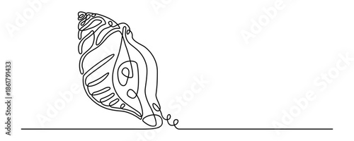 Coastal spiral seashell outline continuous line art minimalist vector illustration
