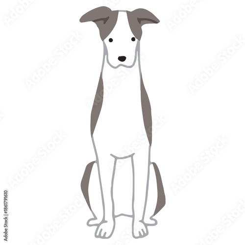 犬　手書きイラスト　ウィペット　