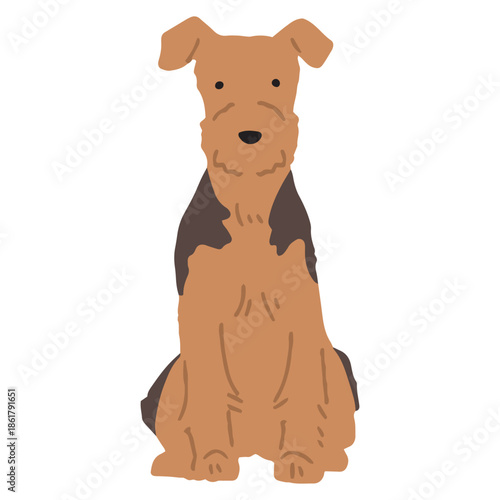 犬　手書きイラスト　ウェルシュテリア