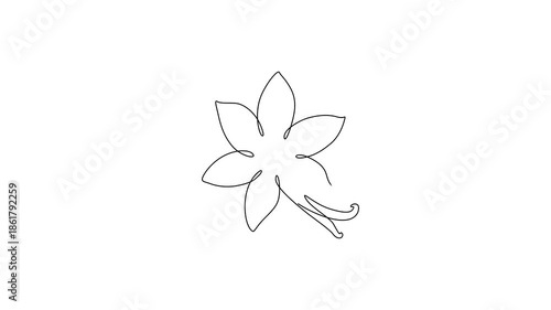 Continuous one-line drawing of vanilla flower animation