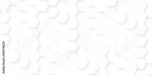 Abstract white grid presentation surface mosaic and tiles minimal tech bee website science element grid overlay white hexagon futuristic technology geometric texture background.