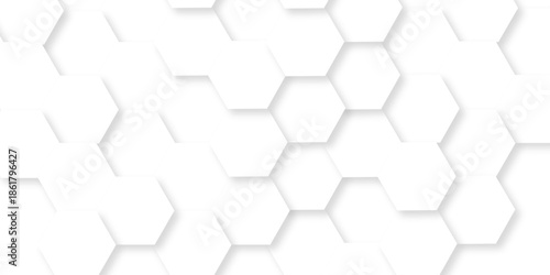 Abstract white grid presentation surface mosaic and tiles minimal tech bee website science element grid overlay white hexagon futuristic technology geometric texture background.