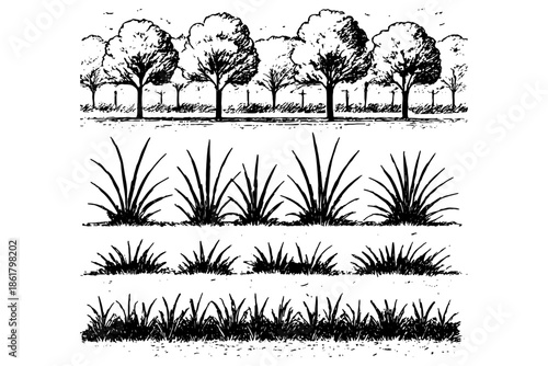 set of Grass Section CAD,
Ground Cover & Grass Section CAD – Minimal Forest Line for Elevation Design