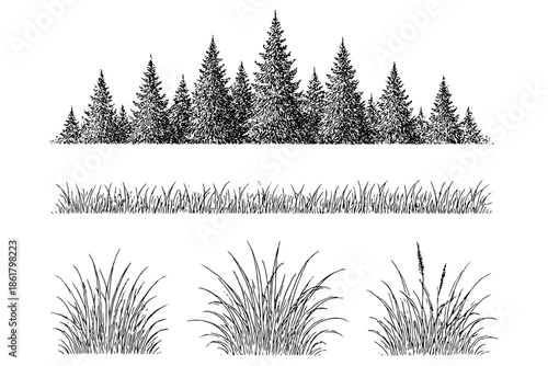 set of Grass Section CAD,
Grass Section CAD Set – Minimal Forest Line for Architecture