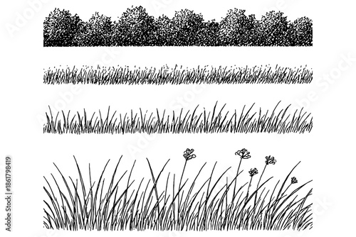 set of grass silhouettes,
Set of Grass, 
Minimal Forest Line CAD Ground Cover for Architectural Elevations