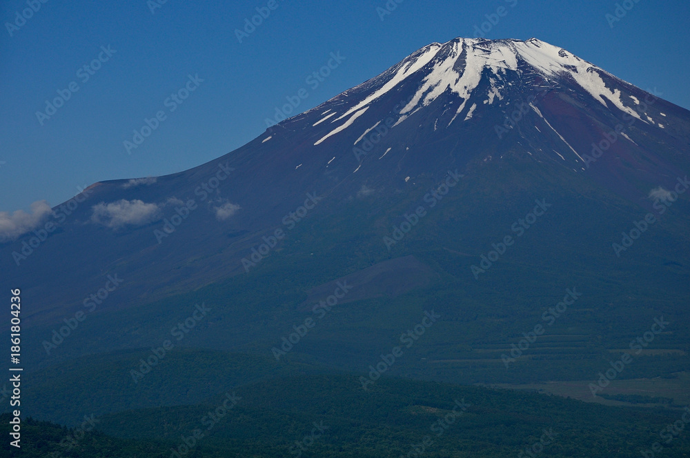 Fototapeta premium 丹沢の鉄砲木ノ頭（明神山）より 初夏の頃の富士山を眺める 