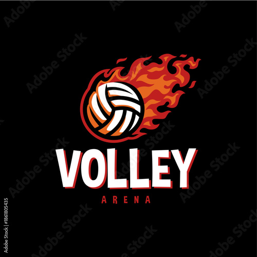 volley ball fire flame logo vector icon illustration