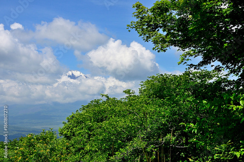 丹沢山地の高指山より　雲間の富士山

