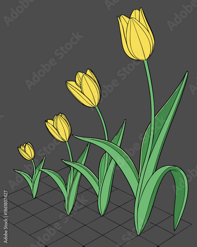 3D Yellow Tulip Growth Stages Set, Realistic Flower Life Cycle from Bud to Bloom Isolated on Dark Grid