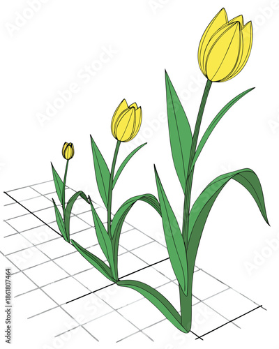 3D Yellow Tulip Growth Stages Set, Realistic Flower Life Cycle from Bud to Bloom Isolated on Dark Grid