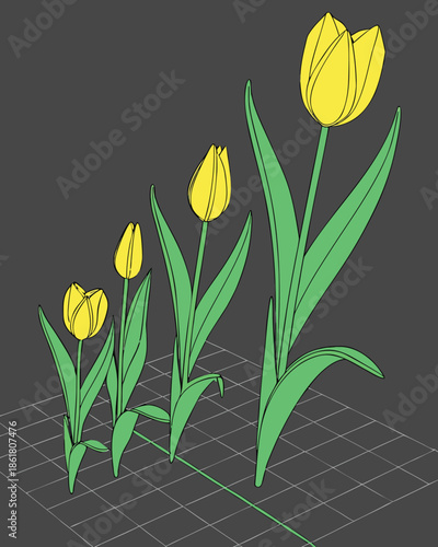 3D Yellow Tulip Growth Stages Set, Realistic Flower Life Cycle from Bud to Bloom Isolated on Dark Grid