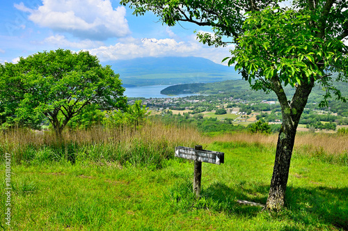 丹沢山地の甲相国境尾根　高指山山頂のマユミの木と富士山
