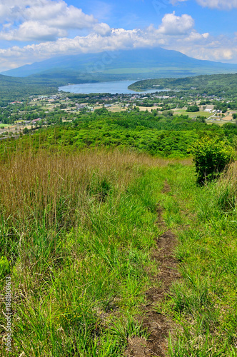 夏の丹沢山地　高指山の草地より望む富士山と山中湖
