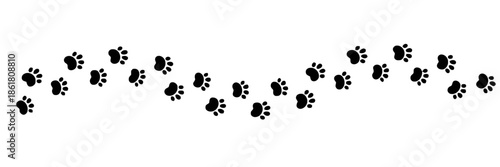 Seamless Pattern With Paw Prints in Black and White for Animal Related Themes Exactly Two Hundred Characters