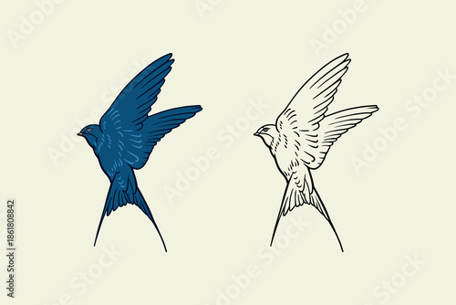 hand drawn swallow birds illustrations blue color fill and outline style