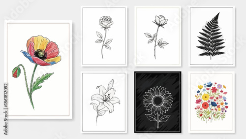 Collection of framed botanical illustrations featuring various flowers like poppy, rose, lily, sunflower, and fern in both colorful and monochrome styles.