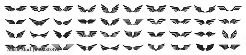 Set of angel wings Collection of wing illustrations different styles Feathered wings for design elements Symbol of freedom flight and spirituality Vector graphic icons isolated on white