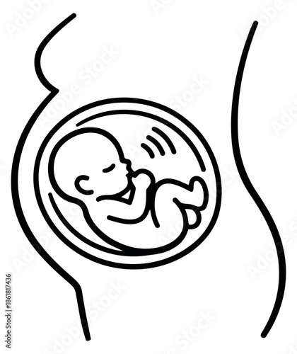 Line art illustration of a pregnant belly depicting a baby in the womb for medical and maternity concepts