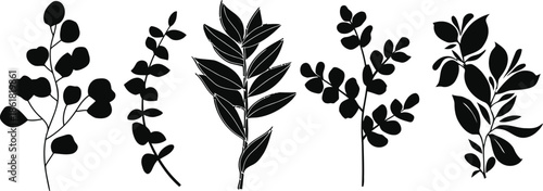 Set of branch with leaves for decoration and ornament