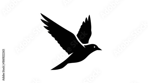 Elegant bird in mid flight with wings spread wide freely