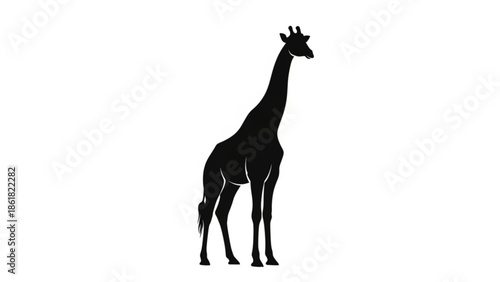 Majestic giraffe silhouette standing tall in savannah