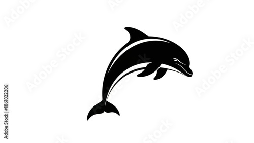Dolphin jumping out of water in sleek black silhouette