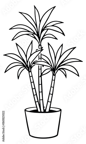 Hand drawn line art illustration of a potted houseplant depicting lush foliage for home decor