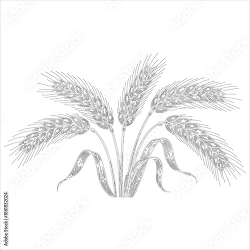 Detailed illustration of ripe wheat stalks with leaves, a symbol of harvest and agriculture
