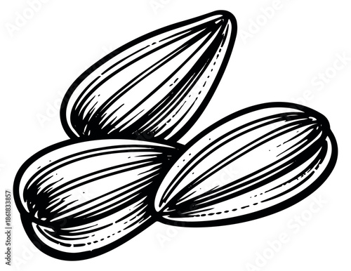 Hand drawn line art illustration of sunflower seeds depicting a natural cluster for food and snack design