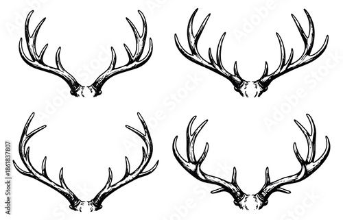 Hand drawn line art antlers set featuring various deer and elk horns for hunting and wildlife design