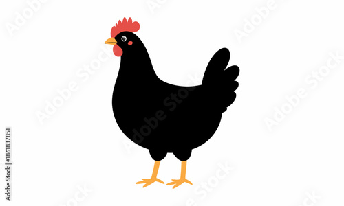 black chicken with red comb and yellow beak.