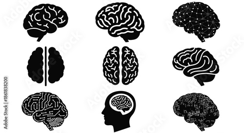 A collection of black and white brain illustrations on a clean white background