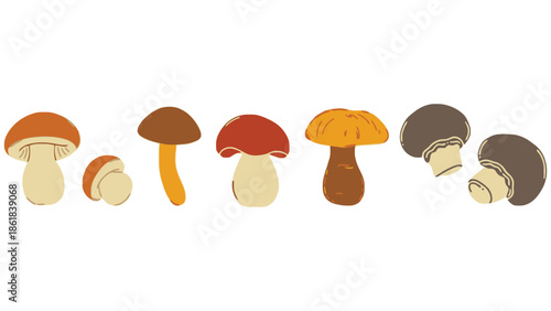 A charming collection of diverse wild mushrooms displayed in a row, showcasing their unique shapes and colors.