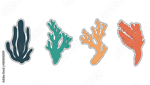 Vibrant coral reef organisms displayed against a clean white background.