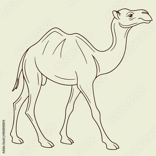 Illustration of a camel walking