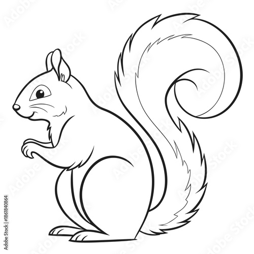 Curious squirrel standing