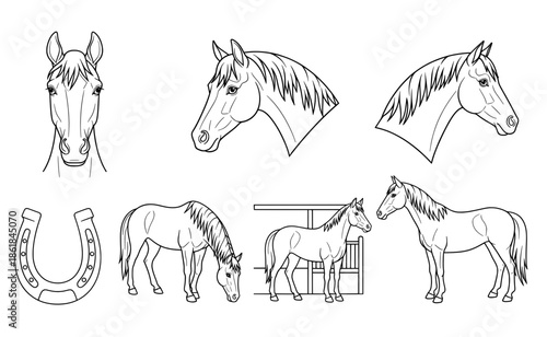 Line art illustration of horses featuring various poses, heads, and a horseshoe, showcasing the beauty and elegance of equine anatomy in a creative design concept