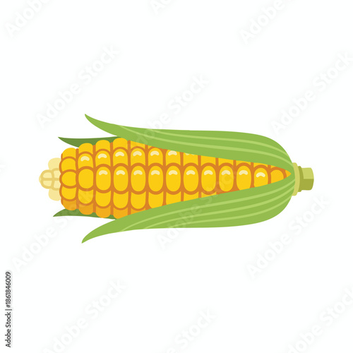 A vibrant, detailed illustration of an ear of corn, with green husks and yellow kernels