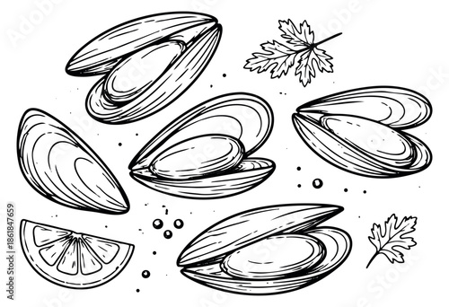 Hand drawn line art seafood set featuring mussels, a lemon slice and herbs for culinary design