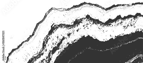 Black and white abstract textured background with rough organic shapes and granular details