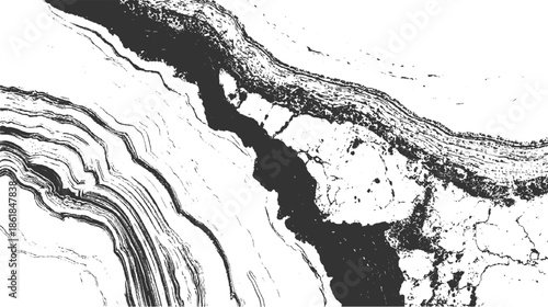 Abstract black and white textured grunge background with layered organic shapes