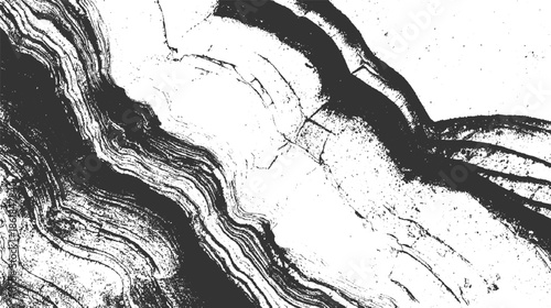 Black and white abstract texture with layered organic shapes and rough surface details grunge