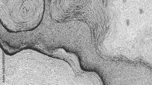 Black and white abstract pattern of swirling lines and textured areas